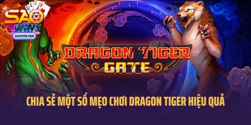 Chia sẻ một số mẹo chơi dragon tiger hiệu quả tại Saowin