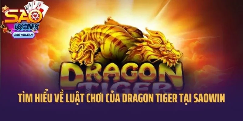 Tìm hiểu về luật chơi của Dragon Tiger tại Saowin