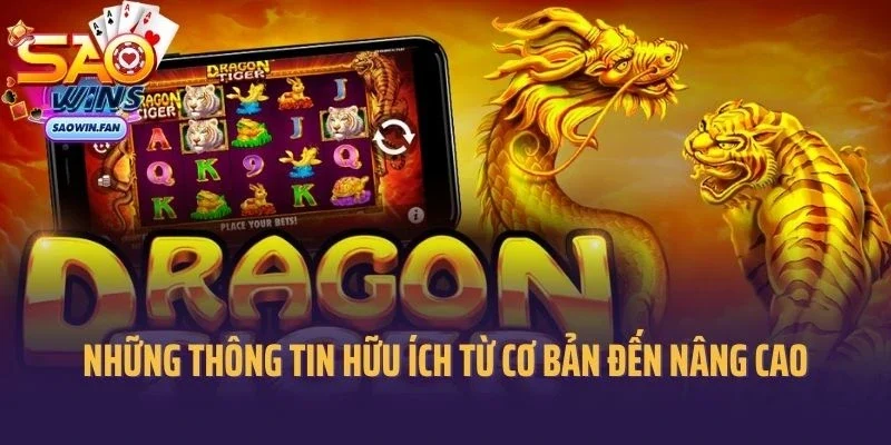 Dragon Tiger Saowin - Những Thông Tin Hữu Ích Từ Cơ Bản Đến Nâng Cao